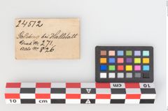 Etiketten zu Bronzebreitrandschale (NHMW-PRAE-024512)